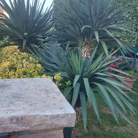 Ljubica * Vodice