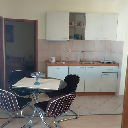 公寓 Ljubica 沃迪切