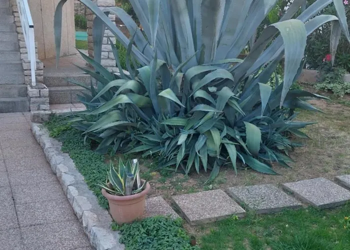 Ljubica Apartamento *